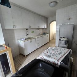 Blk 445 Tampines Street 42 (Tampines), HDB 3 Rooms #637739721